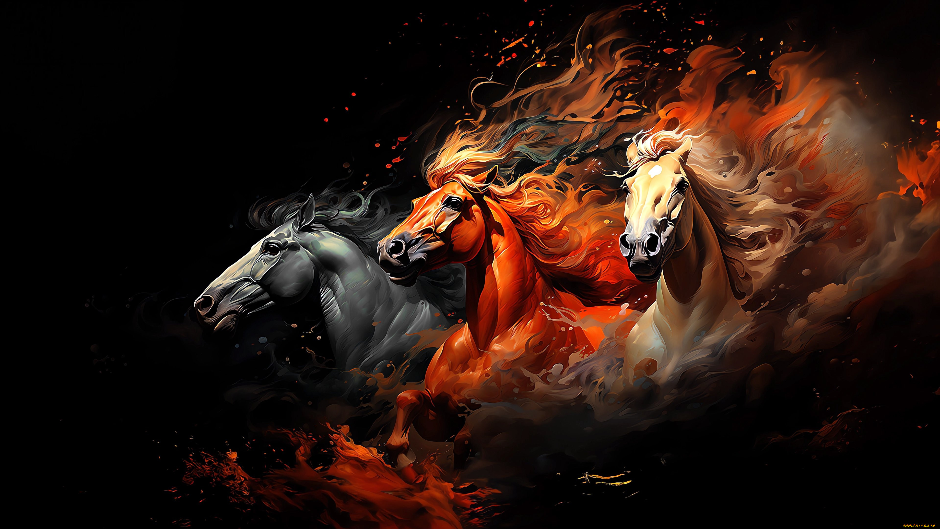 , ,  , horses, three, black, background, , , , , 
